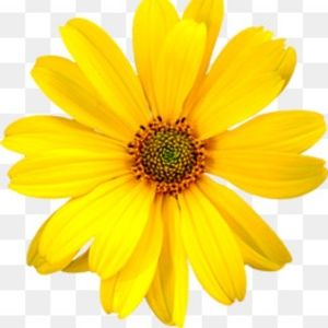 Meet your Posher, Juju